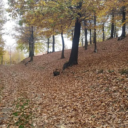 Lo Scau Della Costa Chalet