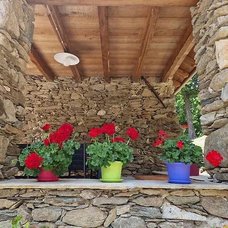 Chalet Lo Scau Della Costa Pamparato